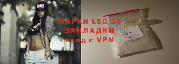 шишки Абинск