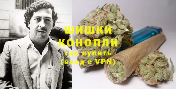 шишки Абинск
