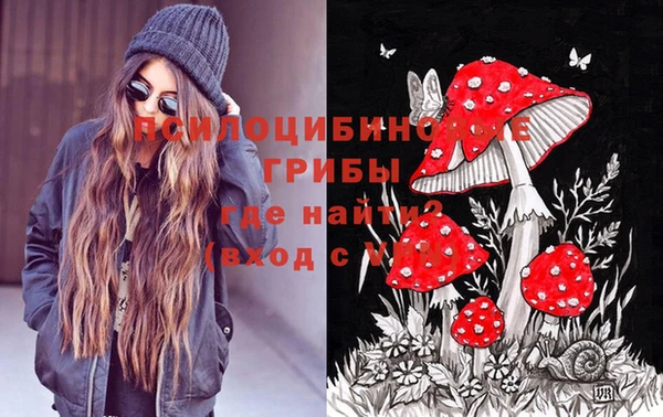 шишки Абинск